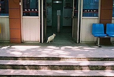 充满史实感的回合制战略游戏《全面坦克战略官》现已登陆Steam