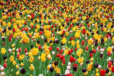 《超市模拟器》正式推出 特别好评超市管理体验