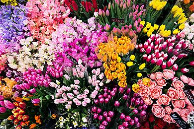 Xbox将获固件更新修复《博德之门3》坏档问题