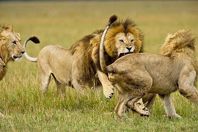 二次元青春RPG《循环8降神》公布游戏开场动画